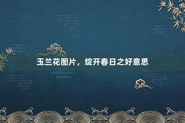 玉兰花图片，绽开春日之好意思