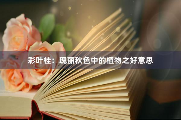 彩叶桂：瑰丽秋色中的植物之好意思