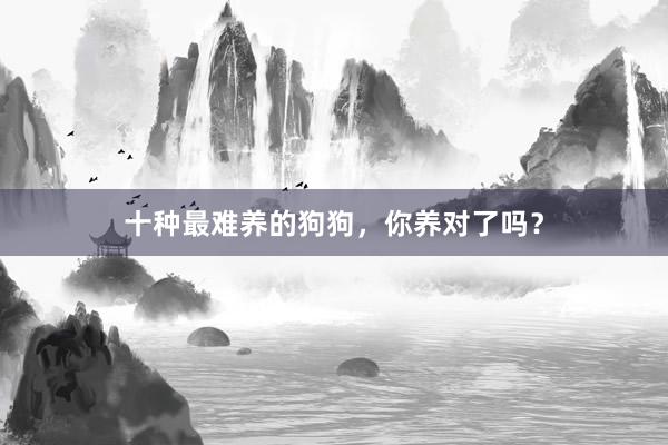 十种最难养的狗狗，你养对了吗？