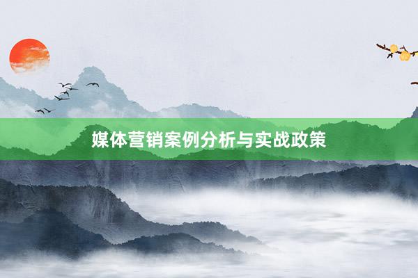 媒体营销案例分析与实战政策